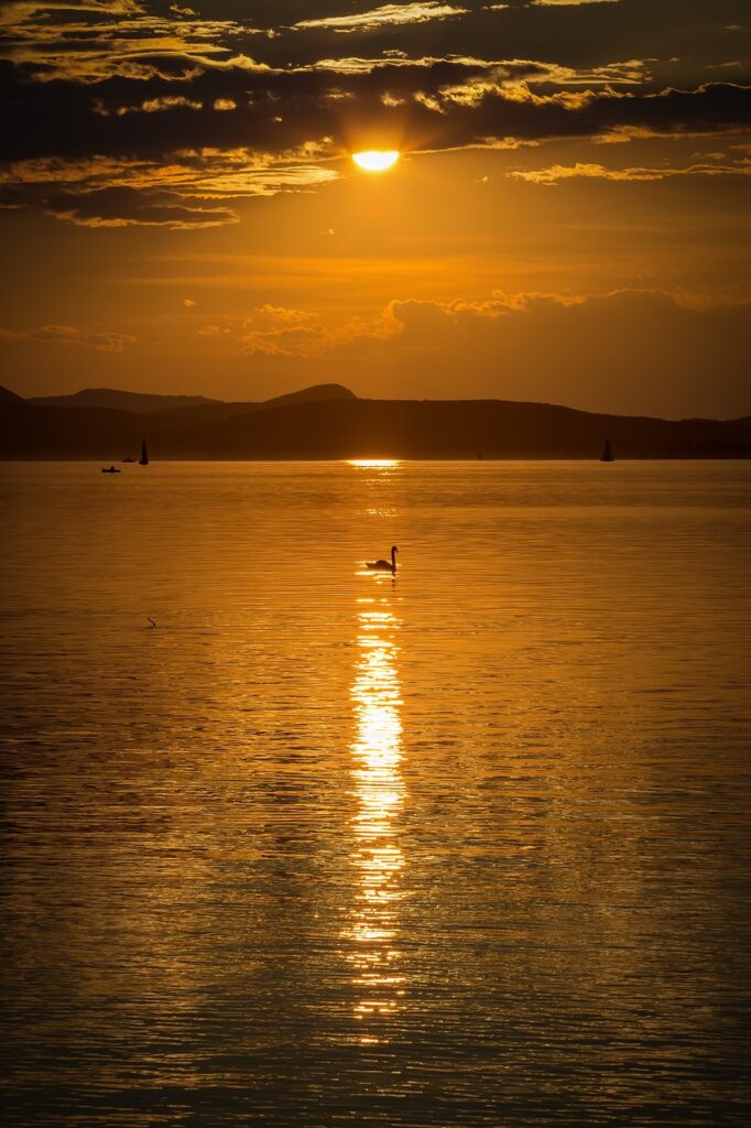 lake balaton, sunset, nature-1608549.jpg